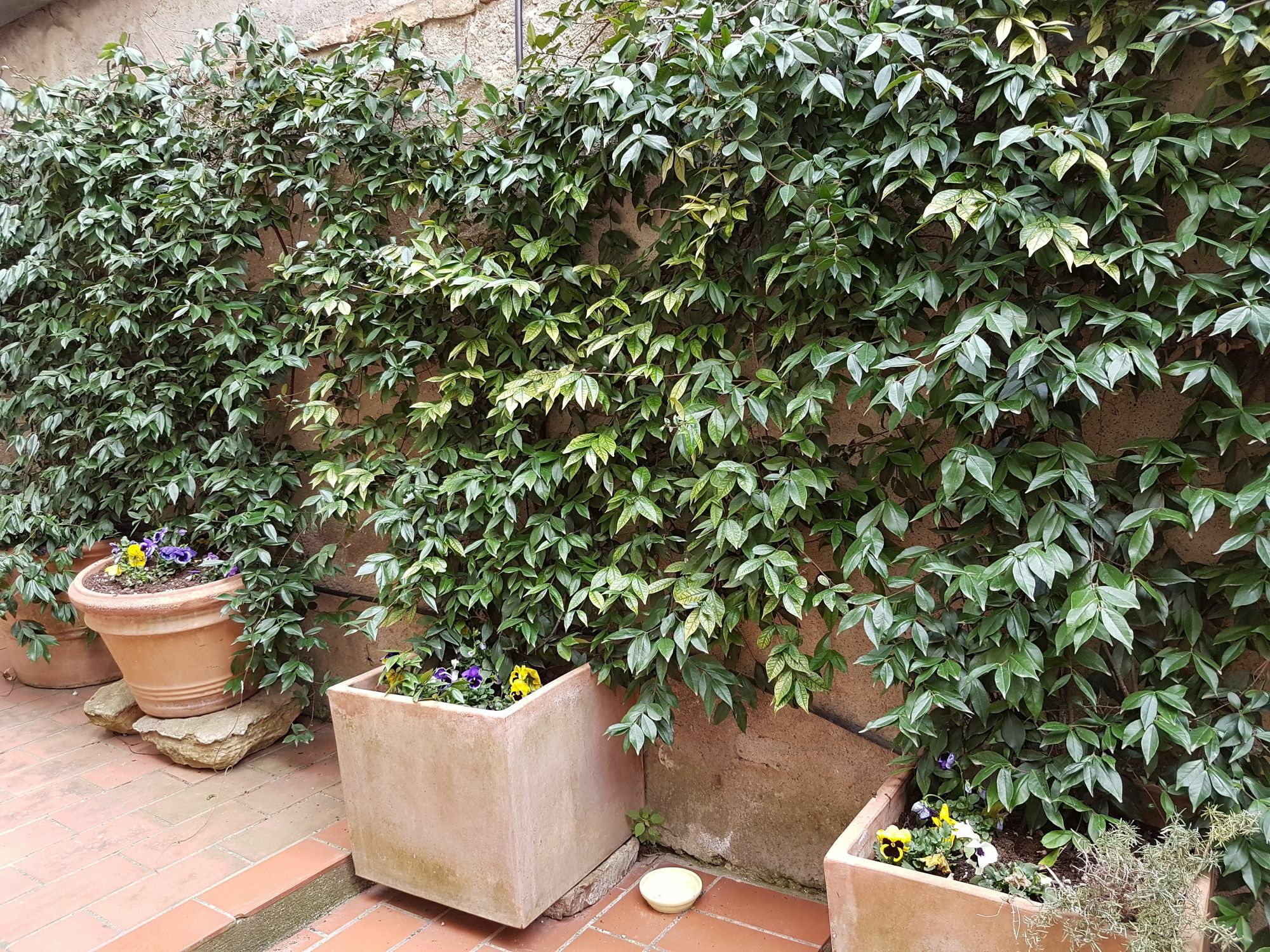 산지미냐노 Casa Bardi 아파트 외부 사진